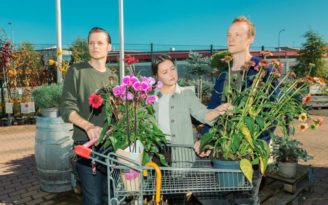 Vasas flora och fauna