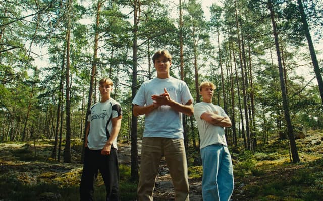 Fjellrev